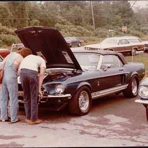 Jack Burns Ford car show.