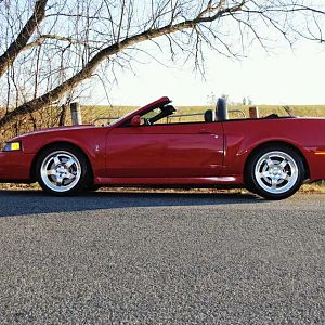 2004 TR Cobra