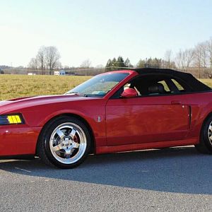 2004 TR Cobra