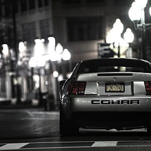 Back