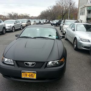 Plasti dipped black