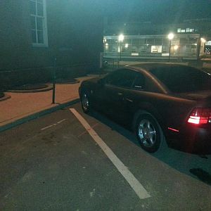 Plasti dip