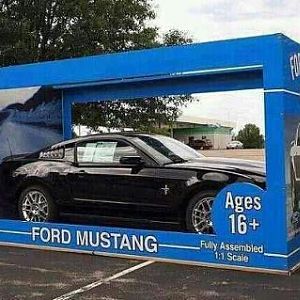 36478.jpg