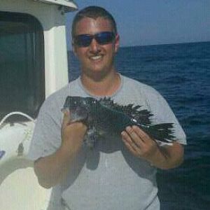 4lb seabass