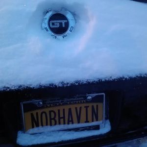 259