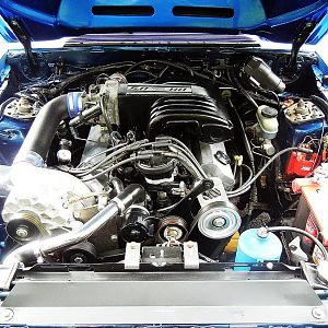 37284.jpg