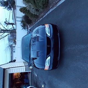 DSCN0081