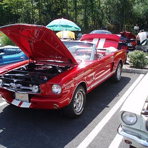 P8150061