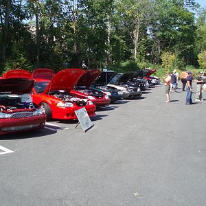 P8150022