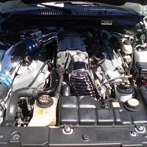 '04 Saleen Cobra