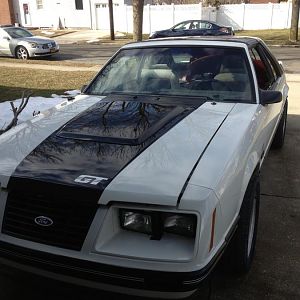 fresh from paint