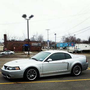 2003 cobra