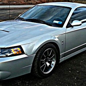 Cobra edit
