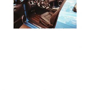 IMG 0004