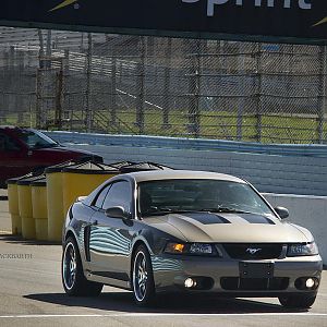 Watkins Glen