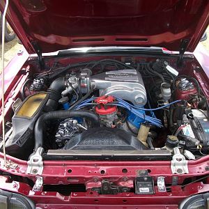 302ci.