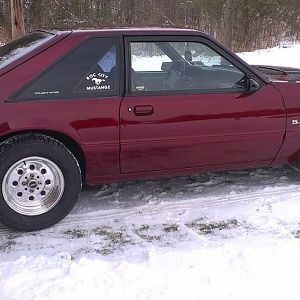 pulled her out for a quick pic in winter of 2012-2013