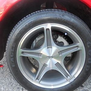 DSCN5373