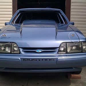 Painted The MUSTANG Letters in front bumpers.