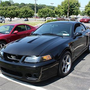 Bear Mountain Cruise 018 (Custom)