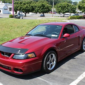 Bear Mountain Cruise 017 (Custom)