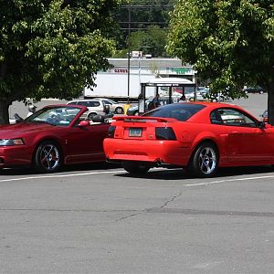 Bear Mountain Cruise 021 (Custom)