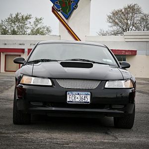 4034.jpg