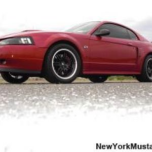 more new wheel pics
