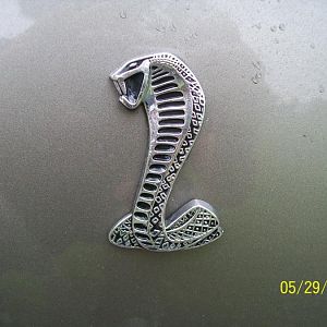 my favorite snake