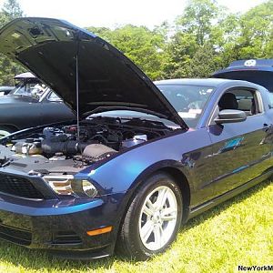 Carshow June 7th 2009 FlowerField
       Won 1st Place