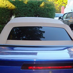 Back window