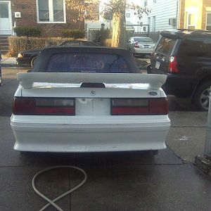 my brow in laws stang (1sick89vert)