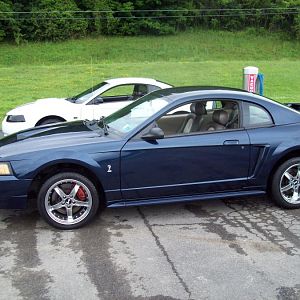Wash Time Cobra