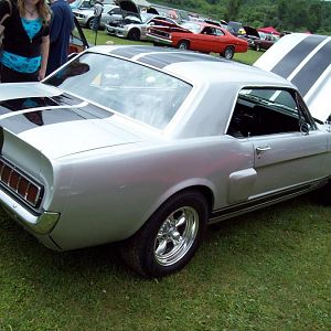 gt350 clone.