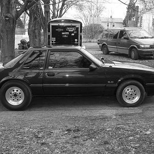 Mustang