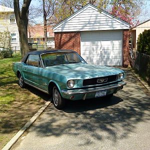 mustang