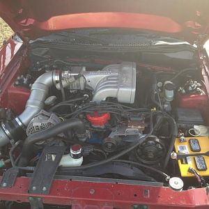 351w swapped