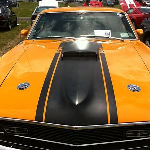 41170.jpg