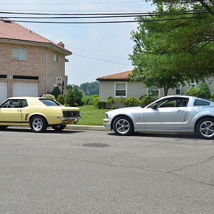 PIC 6896