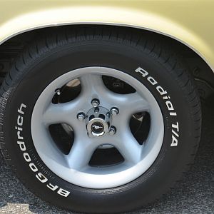 PIC 6905