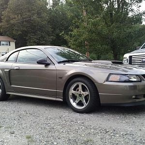 mustang lowered