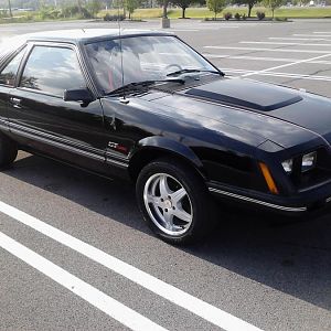 New side and hood pinstripes Did this during summer of 2013 to prepare for new paint