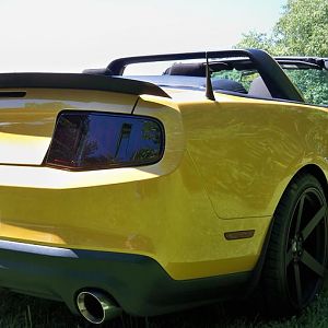 ss1