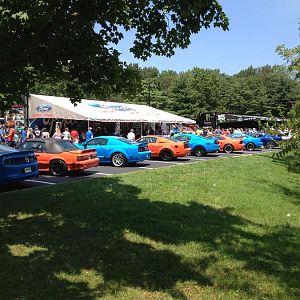 IMG 6983