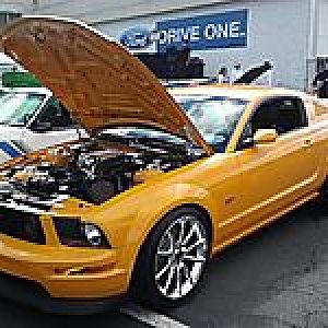 sayville ford 13