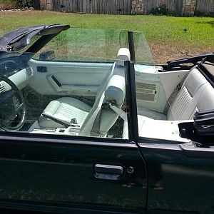 Mustang interior1