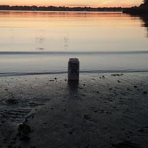 Summer Night