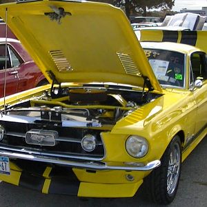 PIC 1319