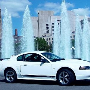 mach1 @Adams Mark