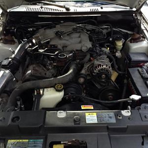 mustang convertible 5